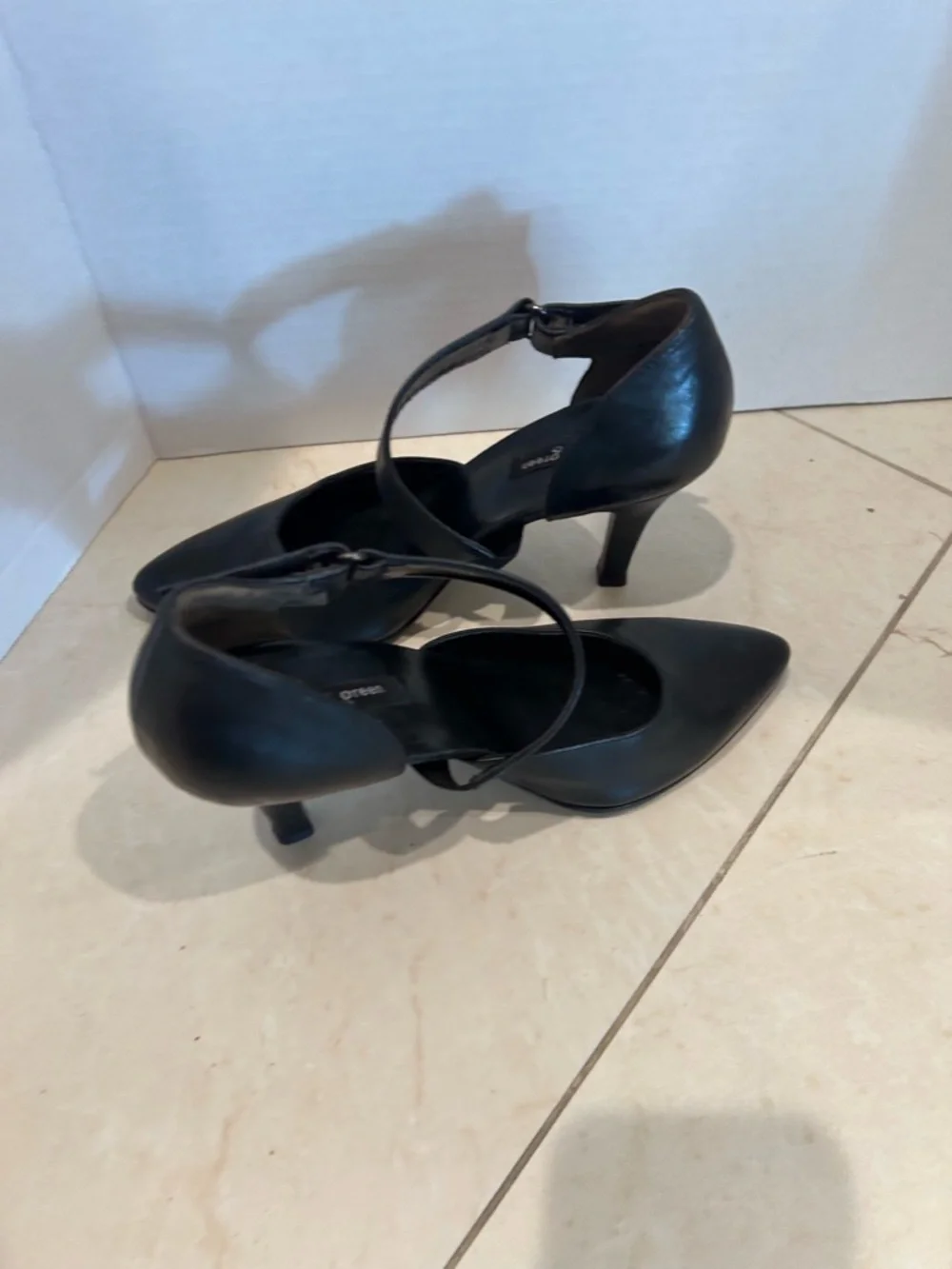 Paul Green sleek pointed
